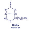 Biotin chemical structure. Vector illustration Hand drawn.