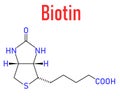 Biotin or vitamin B7 molecule. Skeletal formula. Royalty Free Stock Photo