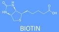 Biotin or vitamin B7 molecule. Skeletal formula. Royalty Free Stock Photo