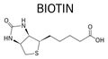 Biotin or vitamin B7 molecule. Skeletal formula.