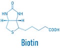 Biotin or vitamin B7 molecule. Skeletal formula.