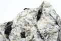 biotite mineral in a rock over white background Royalty Free Stock Photo