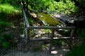 Biozone for the reproduction of amphibians, frogs and newts in the city park is separated by a wooden railing on the shore