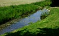 Biozone for the reproduction of amphibians, frogs and newts in the city park is separated by a wooden railing on the shore Royalty Free Stock Photo