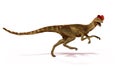 Running Dilophosaurus, theropod dinosaur from the Early Jurassic period 3d illustration isolated with shadow on white background