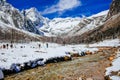 China`s Bipenggou scenic spot - early winter scenery Royalty Free Stock Photo