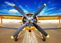 Biplane Royalty Free Stock Photo