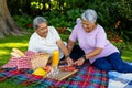 Biracial smiling senior couple with juice on blanket eating strawberries while sitting in park Royalty Free Stock Photo