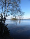 Birch on a background of the waters