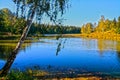 Birch On the Bank of the Vorya river in Abramtsevo estate, Moscow region, Russi