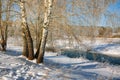 Birch on the bank of winter river Royalty Free Stock Photo