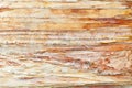 Birch bark Royalty Free Stock Photo