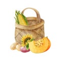 Birch bark basket with corn cob inside and vegetables around it. Watercolor illustration, hand made clipart.