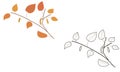 Birch branch. doodle coloring. black and white version and color. autumn foliage.