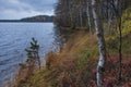 Birch and Bright northern nature in autumn, lake, variegated forest in the evening. Karelia Russia