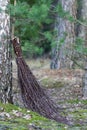 Birch broom Royalty Free Stock Photo