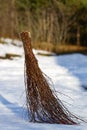 Birch broom Royalty Free Stock Photo