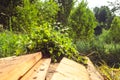 Birch broom lying on brown wooden porch Royalty Free Stock Photo