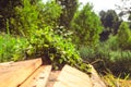 Birch broom lying on brown wooden porch Royalty Free Stock Photo