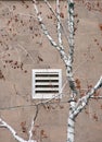 Birch and building vent in Gaslamp quarter