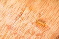 Birch cork background Royalty Free Stock Photo