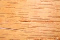 Birch cork background Royalty Free Stock Photo