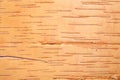 Birch cork background