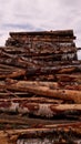 Birch fire wood backgroud Royalty Free Stock Photo