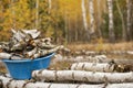 Birch firewood in the autumn forest. Preparing for winter in the countryside. Royalty Free Stock Photo