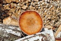 Birch firewood