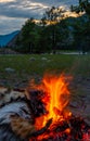 Birch firewood fire. Camping in the mountains at sunset Royalty Free Stock Photo