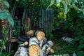 Birch firewood lies in the garden Royalty Free Stock Photo