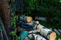 Birch firewood lies in the garden Royalty Free Stock Photo