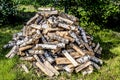 Birch firewood lies in a heap on the green grass. Moscow region, Russia.