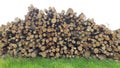 Birch firewood stack background Royalty Free Stock Photo