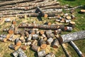 Birch firewood Royalty Free Stock Photo