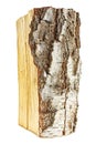 Birch firewood tree log on white background