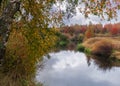 Birch on foreground and autumn river in background Royalty Free Stock Photo