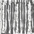 Birch forest