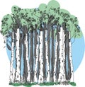 Birch forest