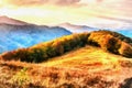 Birch forest in sunny afternoon while autumn season. The works i