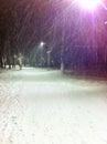 Birch grove in the evening in winter during snowfall