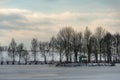 Birch grove grows in the park along the lake. Beautiful winter landscape near the river. Snow drifts and fresh fluffy snow on a Royalty Free Stock Photo