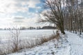 Birch grove grows in the park along the lake. Beautiful winter landscape near the river. Snow drifts and fresh fluffy snow on a Royalty Free Stock Photo