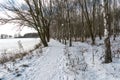 Birch grove grows in the park along the lake. Beautiful winter landscape near the river. Snow drifts and fresh fluffy snow on a Royalty Free Stock Photo