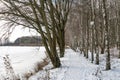 Birch grove grows in the park along the lake. Beautiful winter landscape near the river. Snow drifts and fresh fluffy snow on a Royalty Free Stock Photo