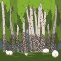 Birch grove and sheeps