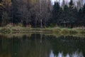 Birch grove, spruce forest, on the banks of the river. Bike at the tree. Green grass adorns the picturesque landscape Royalty Free Stock Photo