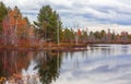 Birch lakes landscape with perfect reflections during autumn time