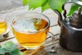 Birch leaves, healthy herbal tea cup, honey jar and vintage copper tea kettle